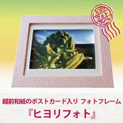 ふるさと納税 あわら市 越前和紙のポストカードとフレーム『ヒヨリフォト』福井の癒しの風景ポストカード入り　フレーム色:桃