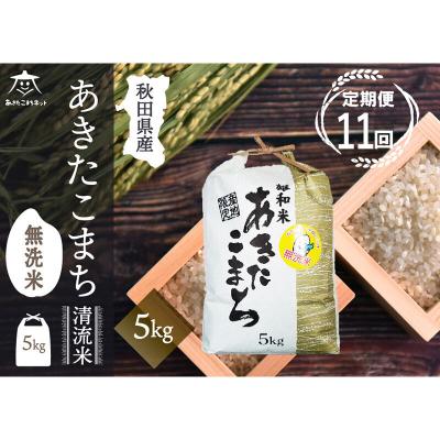 ふるさと納税 秋田市 《定期便11ヶ月》秋田市雄和産あきたこまち 清流米 5kg 【無洗米】|15_akn-dd0511m