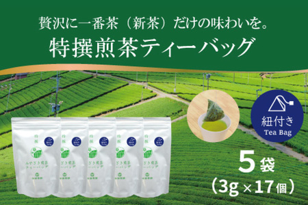お茶 ティーバッグ 特撰 みやざき煎茶 紐付き 5袋 セット [谷岩茶舗 宮崎県 日向市 452061738]