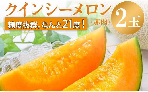 来年2026年先行予約！【発送5月上旬～】 メロン めろん 糖度21度以上！奇跡の クインシーメロン 2玉 赤肉 人気 おすすめ クインシー 甘い 濃厚 高糖度 自家栽培 メロン 贈答用 贈り物 プレゼント  送料無料 片岡農園 クレストファーム 茨城県 鉾田市