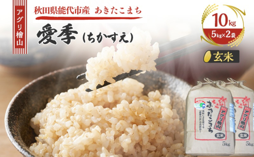 令和7年産 アグリ檜山米 愛季(ちかすえ) 玄米 10kg ( 5kg × 2袋 ) あきたこまち お米 おこめ こめ コメ ごはん ご飯 大粒 令和7年  秋田 秋田県 能代市