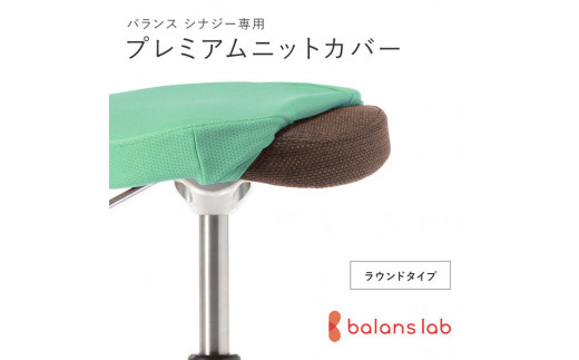 バランスシナジー専用プレミアムニットカバー（ライトグリーン）ラウンドシート用 はっ水加工【 バランスシナジー カバー 大阪府 門真市 】