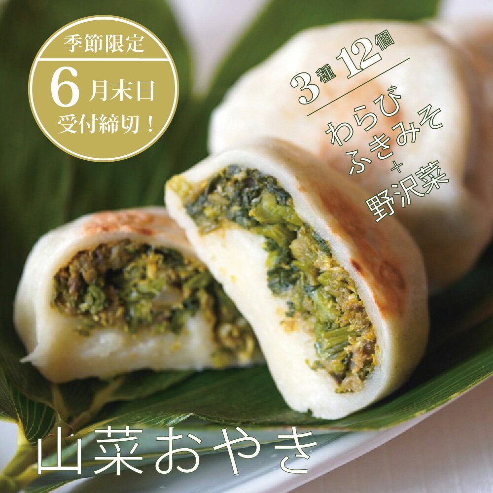 【ふるさと納税】6月30日注文締切！季節限定「山菜の手づくりおやき（3種12個入）」 急速冷凍で旨みを閉じ込めた信州の郷土食：ふきみそ、わらび、野沢菜の各4個入り｜長野県信濃町「こなもん屋ジロー」