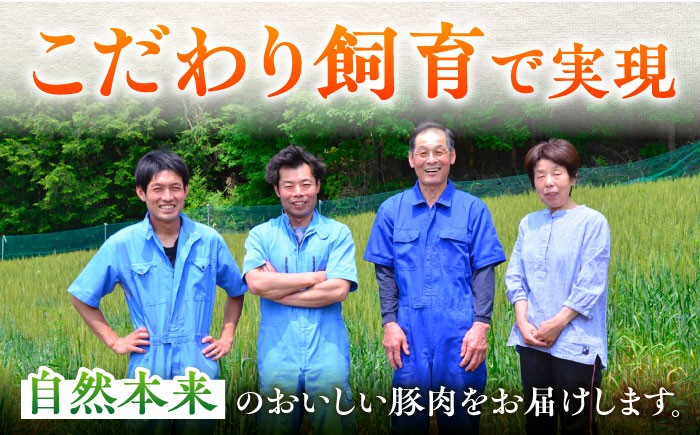 豚肉 定期便 12回定期便 小分け 薄切り 小間 こま切れ 豚こま 国産 無薬育ち 大容量 切り落とし 冷凍 モモ肉 カタ肉