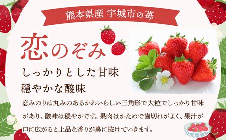 先行予約 いちご 恋のぞみ (250g×4パック) 合計1kg 【2026年2月上旬～3月上旬発送予定】熊本県産  冷蔵 小分け いちご 熊本県産 苺 JA熊本うき