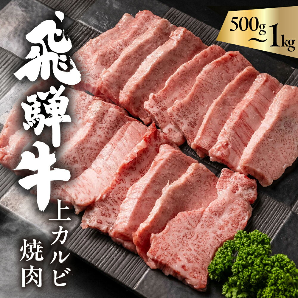 【ふるさと納税】飛騨牛 5等級 上カルビ焼肉 500g / 1kg バラ肉（ 赤身 / 霜降り ) 焼肉 牛肉 肉 焼き肉 和牛 カルビ BBQ バーベキュー 炒め物 ギフト 贈り物 飛騨岐阜人 岐阜県 飛騨市 25000円 〜