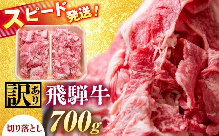 飛騨牛 切り落とし 700g 瑞浪市 / 冷凍 赤身 和牛 訳あり ギフト [AZDB001]