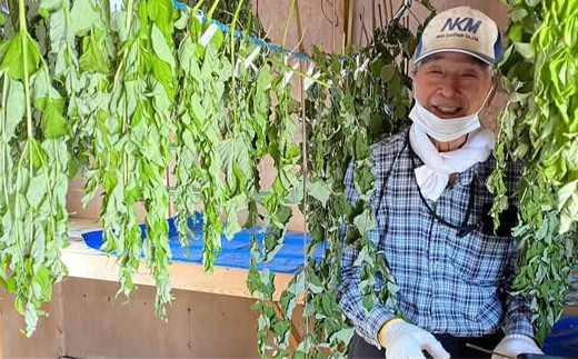 生産者代表の松田です。
毎日のお茶に是非、「タラノキ茶」をお選びいただけたら幸いです。