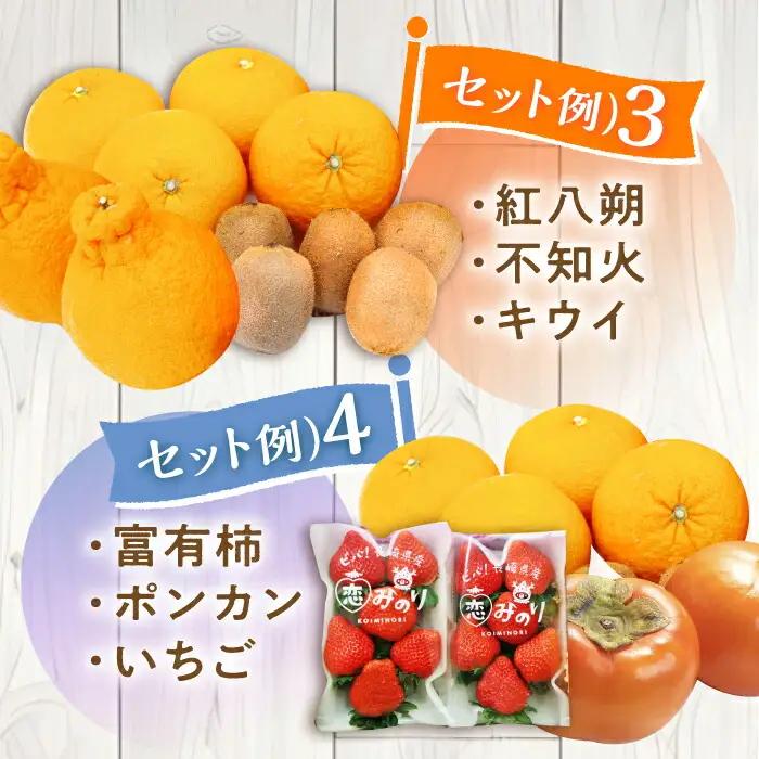 フルーツセット 2-3品目 [SCZ012] 旬のフルーツ