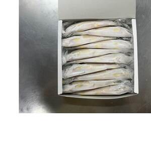 岐阜の鮎　冷凍子持鮎(約1kg:10～13尾)【配送不可地域：離島】【1617821】