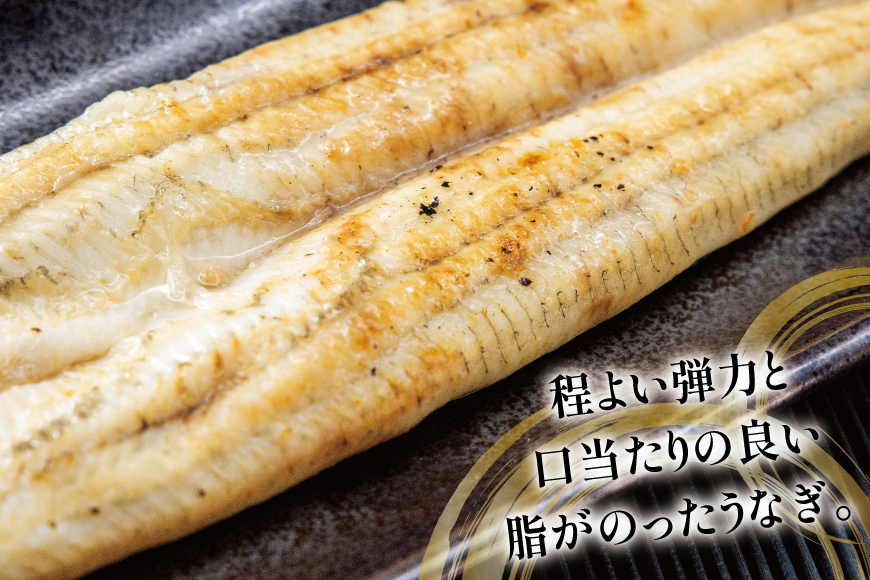 うなぎ 国産 白焼 定期便 160g程度 2尾 3回 総計6尾 960g以上 タレ山椒付き 真空パック 個包装 [駿河淡水 静岡県 吉田町 22424510] 静岡県産 静岡 鰻 ウナギ うなぎ白焼き