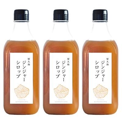 ふるさと納税 屋久島町 屋久島ジンジャーシロップ　500ml×3本セット