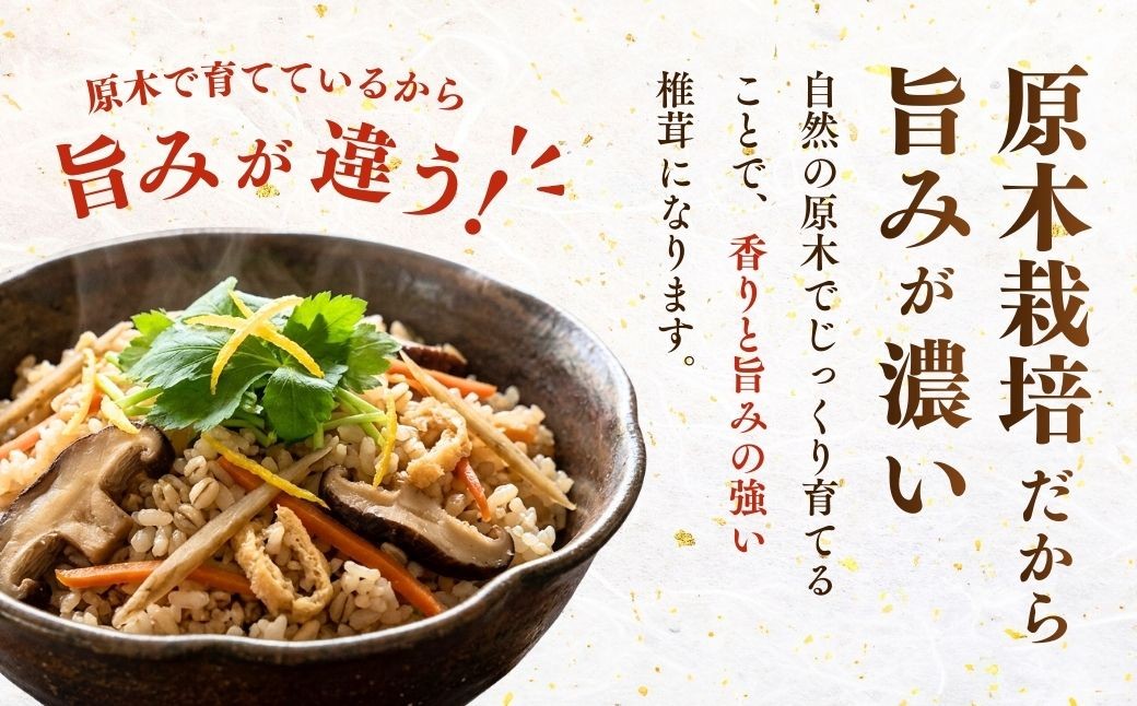 しいたけ シイタケ 乾しいたけ 干ししいたけ 干し椎茸 干しシイタケ 200g 龍ノ傘