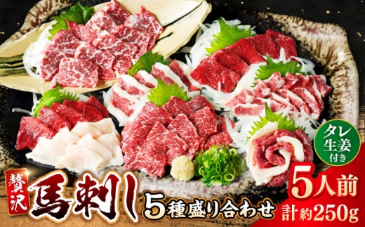 馬刺し 5種 盛り合わせセット 5人前 約250g 熊本直送 赤身馬刺し 霜降り馬刺し コーネ(たてがみ)馬刺し フタエゴ バラヒモ コウネ 熊本馬刺し タレ付き 冷凍 馬肉 馬刺 ヘルシー馬刺し ばさし 馬肉 小分け おつまみ 晩酌 熊本県 合志市 【株式会社 Foody’s】[AYAT011]