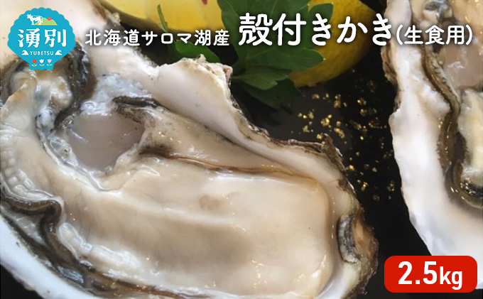 北海道 サロマ湖産 殻付き かき 生食用 2.5kg 牡蠣 カキ 海鮮 国産 貝付き 焼き牡蠣 蒸し牡蠣 冷蔵 オホーツク 魚貝類 生牡蠣 殻付きかき 北海道産 産地直送