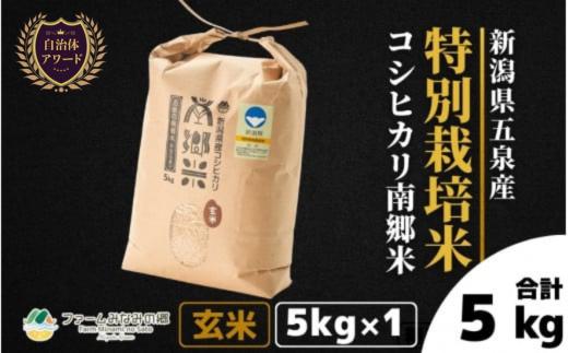 【先行予約】令和7年産新米 特別栽培米 新潟県五泉産コシヒカリ 「南郷米」 玄米 5kg 新潟県 五泉市 ファームみなみの郷 [9月中旬以降順次発送]