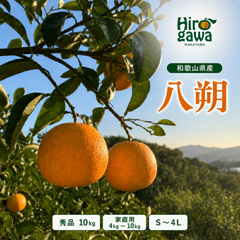 【ふるさと納税】 八朔 秀品 家庭用 4kg ～10kg サイズ混合(S～2L) / はっさく くだもの 果物 果実 フルーツ 和歌山 有田 ※2027年1月中旬～2027年4月上旬に順次発送 //hassaku
