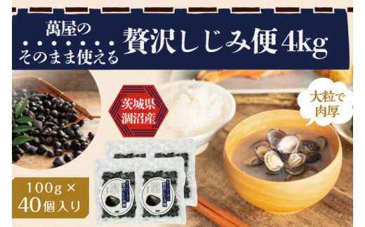 涸沼産冷凍しじみ中粒４kg（100g×40p）（シジミ 中粒しじみ 産地直送 砂抜き済み 砂抜き 小分け包装 味噌汁 みそ汁 茨城県】（CA-20）