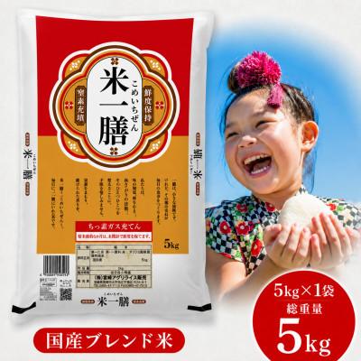 ふるさと納税 宮崎市 国産ブレンド米 「米一膳」5kg(5kg×1袋)