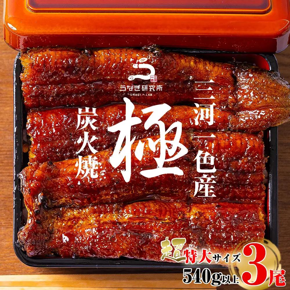 【期間限定】三河一色産うなぎ 蒲焼超特大3尾(計540g以上) 国産 鰻 愛知・R047-310