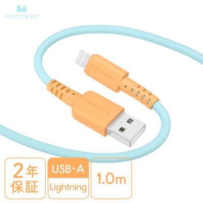ふるさと納税 海老名市 バイカラーケーブル A to L 1m オレンジソーダ(MOT-BCECAL100-OS)