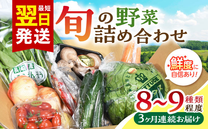 
【全3回定期便】諫早産野菜の詰め合わせ 8〜9品目程度 / 野菜 やさい 旬野菜 旬 新鮮 詰合せ セット たまねぎ なす トマト れんこん きのこ 大根 / 諫早市 / 肥前グローカル株式会社[AHDI001]
