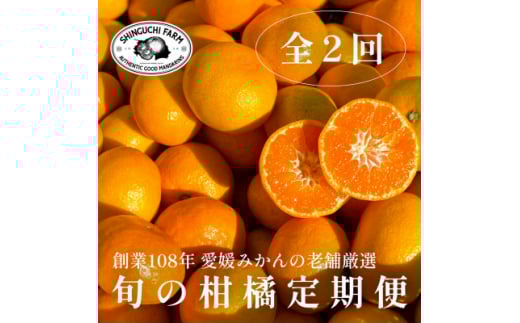 ＜発送月固定定期便＞旬の厳選柑橘をお届け。柑橘定期便＜新口農園厳選＞＜E70-39＞全2回【4055155】