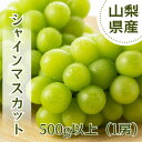 【ふるさと納税】【2025年先行予約】やみつきシャインマスカット 500g以上(1房)【配送不可地域：離島】【1551175】