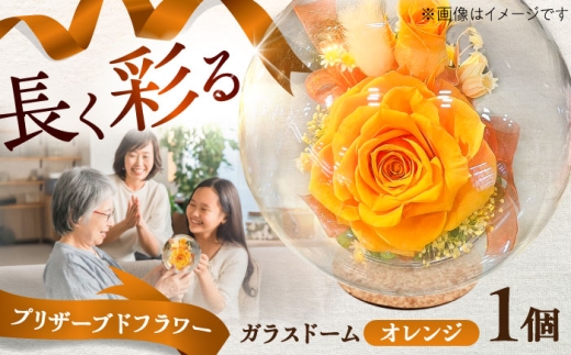 プリザーブドフラワー　ガラスドーム (オレンジ) / オレンジ プリザーブドフラワー ギフト 花 フラワー 植物 お花 贈り物 ガラスドーム【株式会社 美向】 [BHDC001]