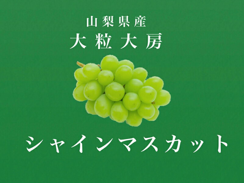 【ふるさと納税】 ＜2026年発送先行予約＞大粒大房！山梨県産シャインマスカット 1房 ふるさと納税 シャインマスカット 大粒シャインマスカット マスカット 葡萄 極上 大粒 おすすめ 山梨県 南アルプス市 送料無料 ALPDS006