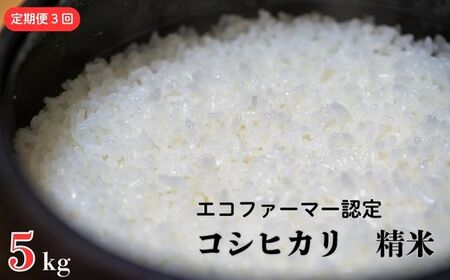 《定期便3ヶ月》 令和7年産 新米【エコファーマー認定】 コシヒカリ 白米 5kg ／ 米 こめ コメ ごはん ご飯 お米 おこめ 精米 白米 新米 エコファーマー認定 5kg 定期便 令和7年 千葉県 東庄町 産地直送