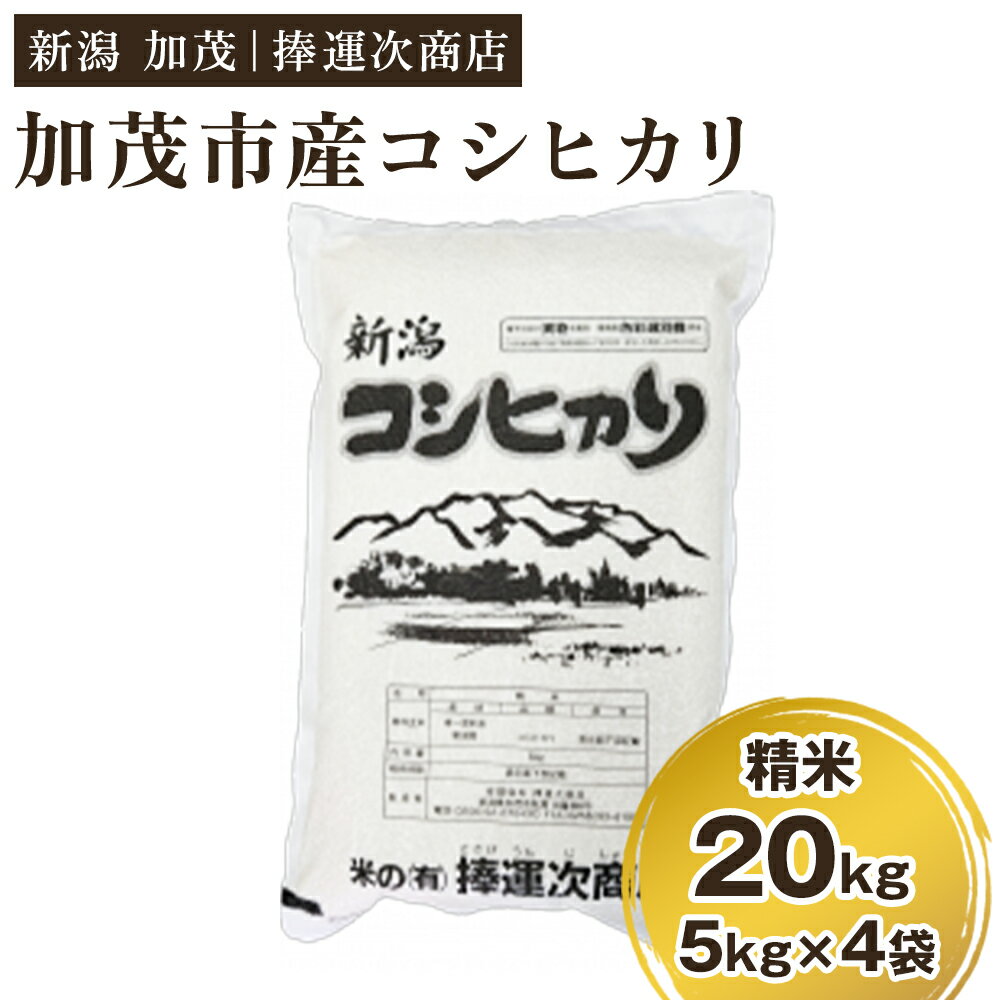 【ふるさと納税】【令和7年産新米】加茂市産コシヒカリ 精米20kg（5kg×4袋） 《順次出荷》 こしひかり 新潟米 お米 白米 ライス ご飯 加茂市 捧運次商店