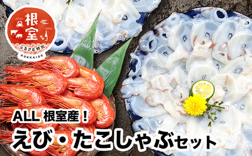 B-24019 【北海道根室産】シマエビ400g・タコしゃぶ250g×4Pセット 【12/31決済分まで1月中配送】
