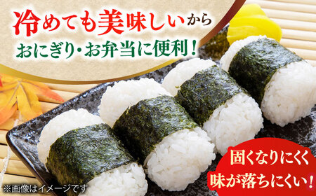 【令和6年産】元気つくし 15kg （5kg×3袋） 米 こめ コメ お米 ご飯 ごはん 精米 白米 新米 ライス 元気つくし 県産米 国産米 ブランド米 福岡 広川町 / JAふくおか八女農産物直売