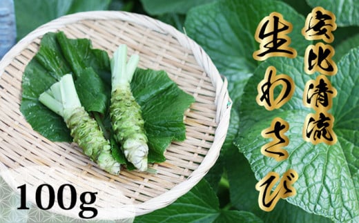 岩手県産 生わさび 100g 【安比清流山葵園】／ 山葵 ワサビ わさび 薬味 国産 八幡平市産 産地直送 新鮮 調味料 刺身 ステーキ お肉 蕎麦 和え物 漬け物 刻み おろし 辛味 和食 お寿司 そば 肉の薬味 魚の薬味 そばの薬味 料理 自宅用 家庭用 おすすめ オススメ お取り寄せ 日本産