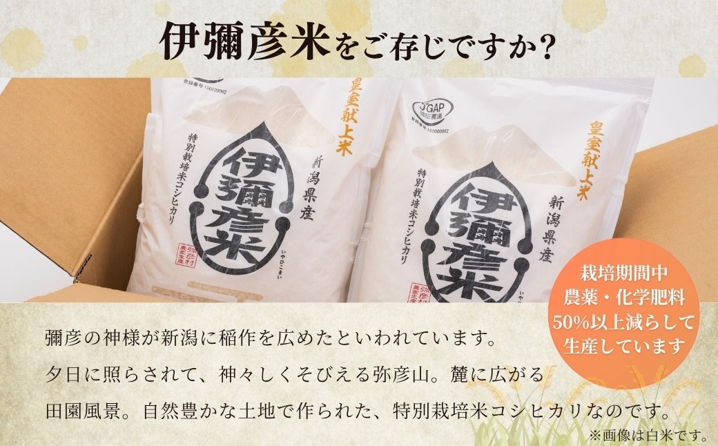皇室献上米「伊彌彦米」玄米20kg(5kg×4袋) 新潟県産コシヒカリ