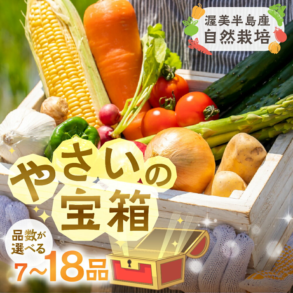 【ふるさと納税】渥美半島産 やさいの宝箱 選べる 品数 A / B セット 野菜 野菜セット 安心 安全 栽培期間中 農薬 化学肥料 不使用 自然志向 やさい ヤサイ 自然 田原市 渥美半島 新鮮