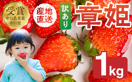 ≪先行予約！≫ 章姫 訳ありいちご 計1kg ( 約250g × 4 ) いちご イチゴ 苺 豊橋 規格外