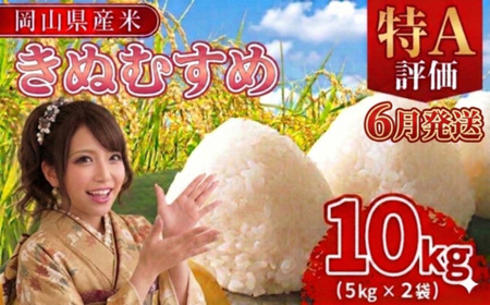 【期間限定寄附額】最高評価「特A」令和7年産 岡山県産米　「きぬむすめ」 10kg(5kg×2袋)　＜6月発送＞
