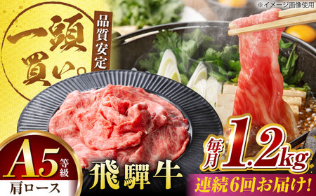 【6回定期便】飛騨牛肩ロース 1.2kg(400ｇ×3パック) すき焼きしゃぶしゃぶ用肉 [AVBO037]