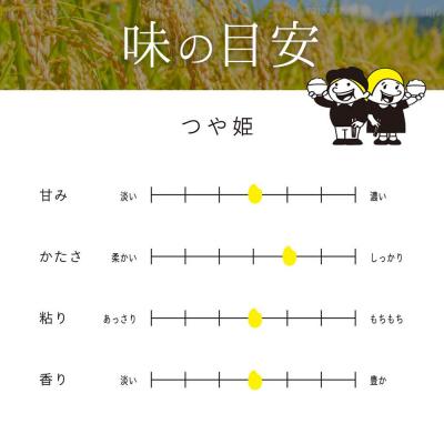 ふるさと納税 角田市 【2026年分先行予約】宮城県角田市産米【令和8年産】つや姫 10kg(5kg×2) |  | 03