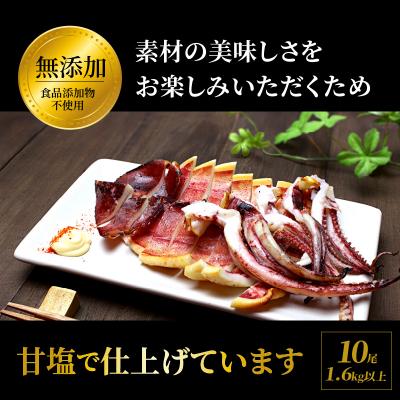 ふるさと納税 国東市 【訳あり】逸品!肉厚するめ烏賊一夜干したっぷり10尾(1.6kg以上) _1836R |  | 02