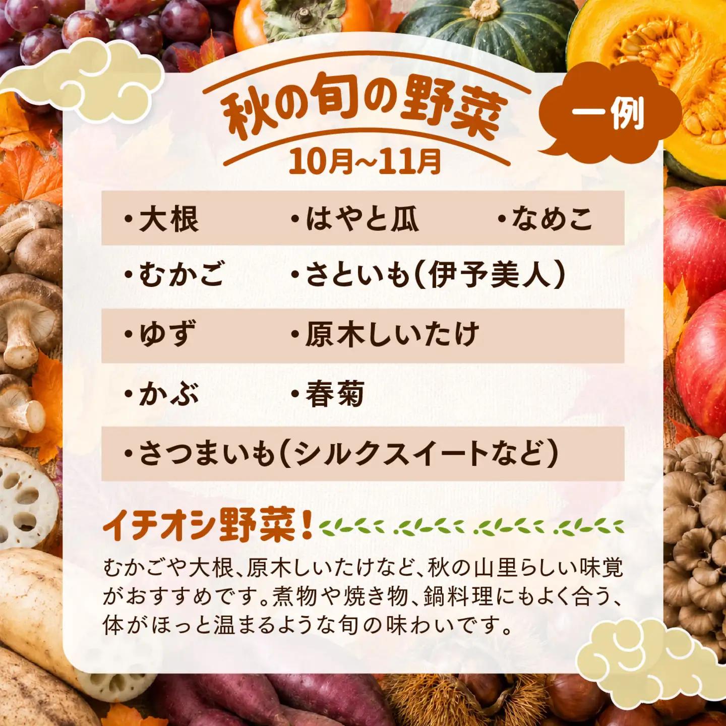 【定期便3回】久万高原 天空の旬野菜便2kg【面河特産品開発センター厳選】｜野菜詰め合わせ 5〜6品目 新鮮野菜 定期便 愛媛県産 産地直送