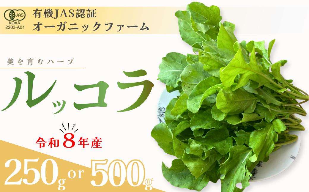 
                  オーガニック ルッコラ 250g or 500g【オーガニックルッコラ 有機JAS認証 有機栽培 露地栽培 ルッコラ 新鮮野菜 産地直送 250g 500g 自然栽培 香り豊か 野菜ギフト 冬野菜 旬の野菜 サラダ 肉料理 抗酸化作用 免疫サポート 美容 美容効果 お取り寄せ野菜 】
                