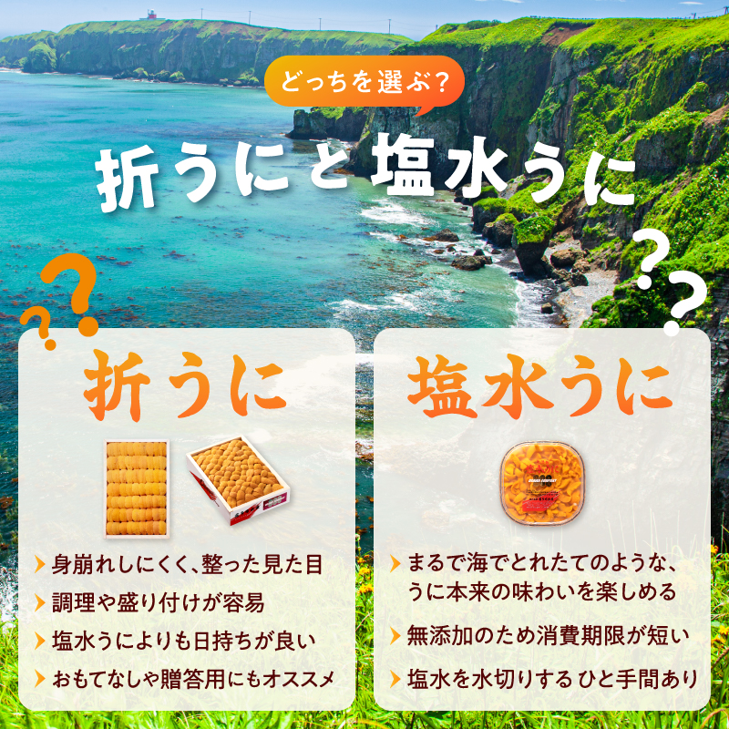 ≪プロ厳選≫最高級折うに(極)宮下あきら先生パッケージVer計250g うに ウニ 雲丹 折うに 海鮮 海産物 北海道 浜中町 ふるさと納税 人気_H0014-105