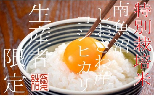 
                  【令和7年産】【定期便2Kg×12ヶ月】【特別栽培米】 契約生産者限定  南魚沼しおざわ産コシヒカリ【定期便 銘柄米 ブランド米 精米 こしひかり コシヒカリ 魚沼産 新潟米 産地直送 お米 米 こめ コメ ご飯 御飯 ごはん】
                