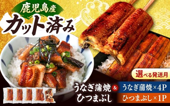 
                  国産 うなぎの蒲焼 約70g×4Pとひつまぶし セット ▼国産 うなぎ 鰻 ウナギ ひつまぶし 九州 鹿児島産 鹿児島県産 蒲焼 桂川町/山水商事 [ADAH036]
                