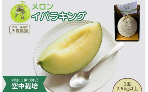 寿メロン 「空中栽培」で栽培した贅沢な イバラキングメロン アンテナ付き 1玉 2.5kg以上 メロン 大森農園 贈答用 ギフト プレゼント 先行予約 フルーツ先行予約 メロン先行予約