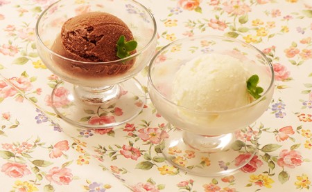あっけし極みるくチョコ・極みるくあいす（各5個）【釧路太田農業協同組合】[北海道 牛乳 乳製品 ミルク アイス アイスクリーム お菓子 ]