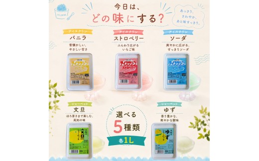 ＜【選べる容量】 アイスクリン（ソーダ）1L×1個＞  大容量  業務用アイス  横畠冷菓 あと味さっぱり シャーベット 高知県 佐川町